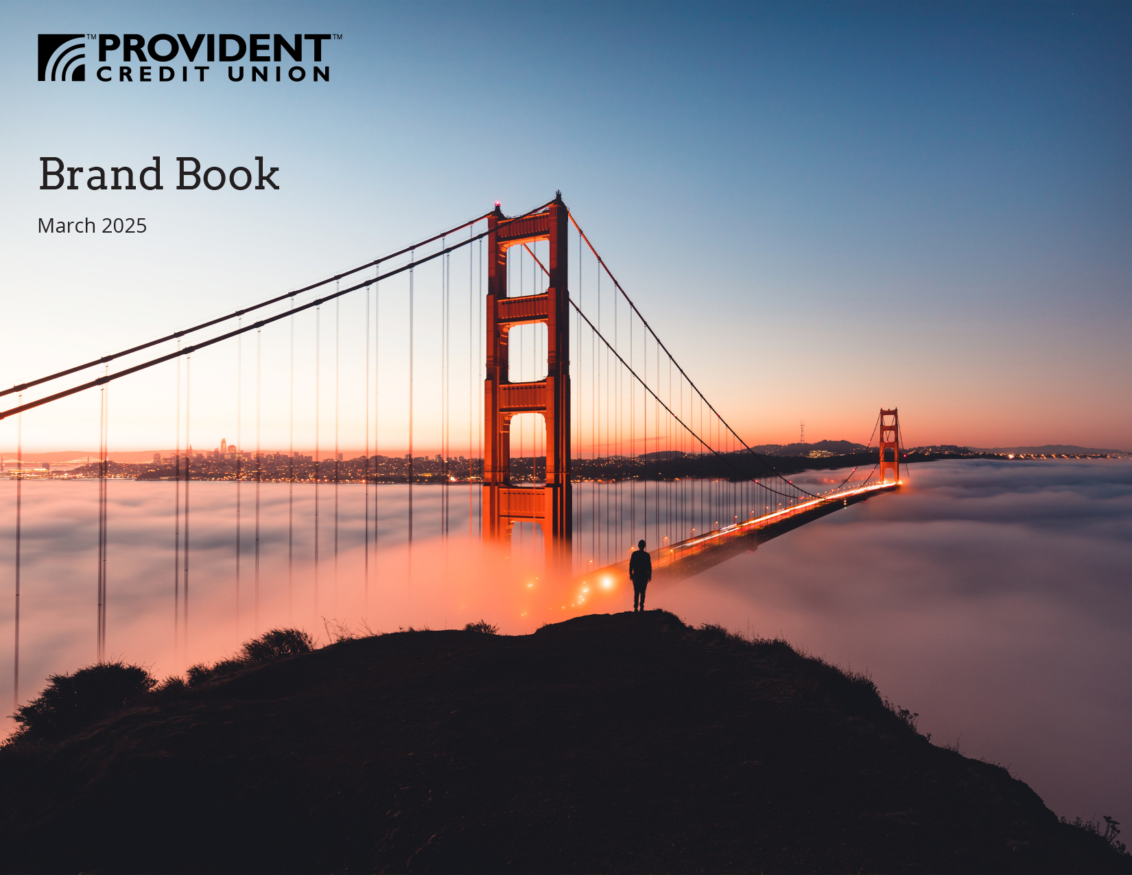 Provident brand book